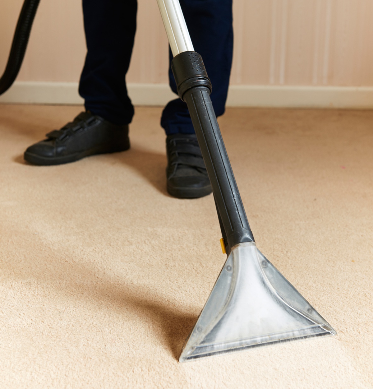 Jesień, alergie i czystość w Twoim domu – jak zadbać o zdrowe otoczenie?